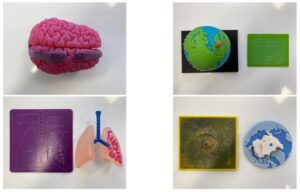3D printed human brain with braille on curved surface, 3D printed lungs with backing plate with outline and braille labels, 3D printed globe with braille key, and full braille labels on flatter 3D prints of terrain